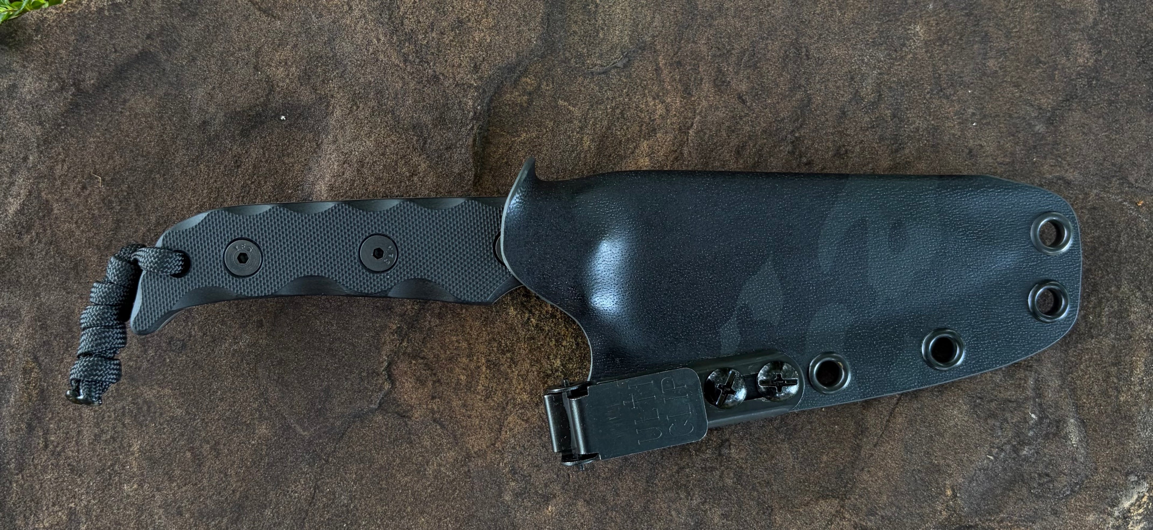 Wolf #1 - AEB-L