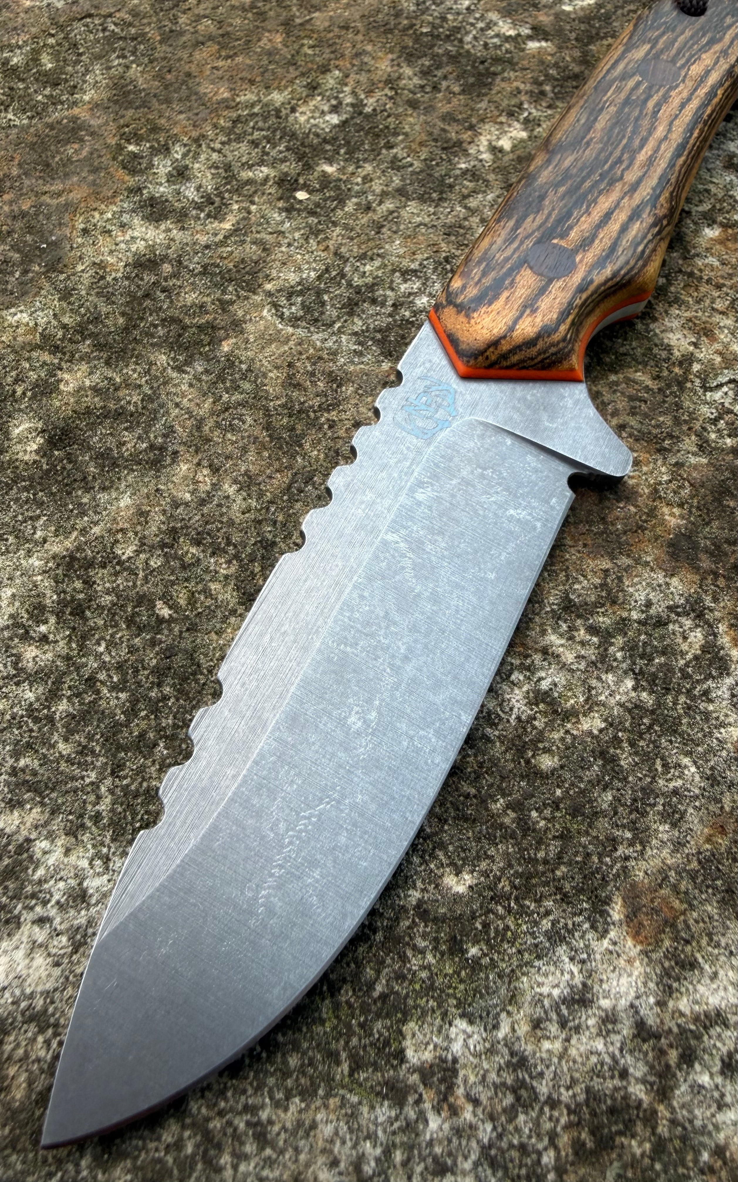 Coyote - Nitro-V
