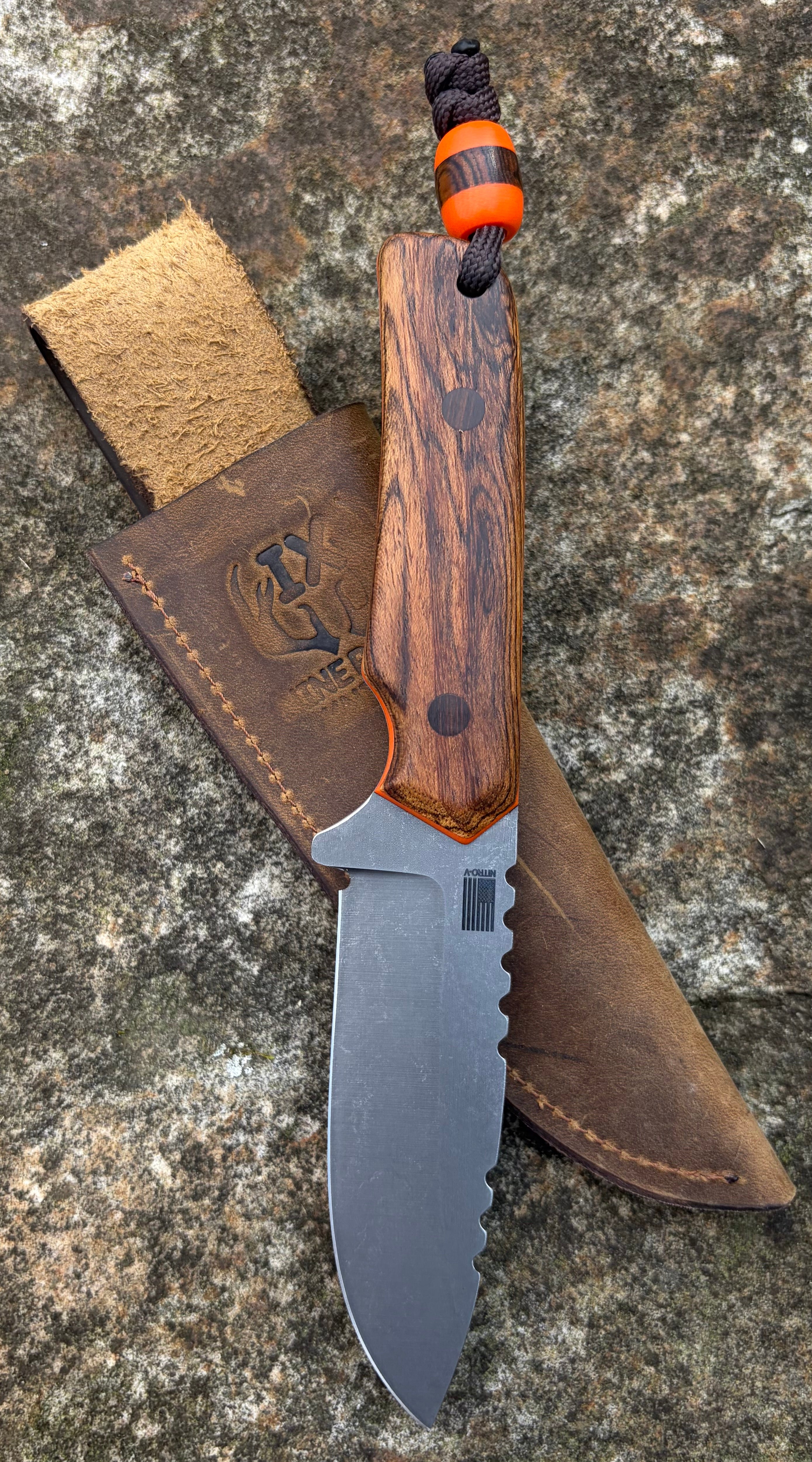 Coyote - Nitro-V