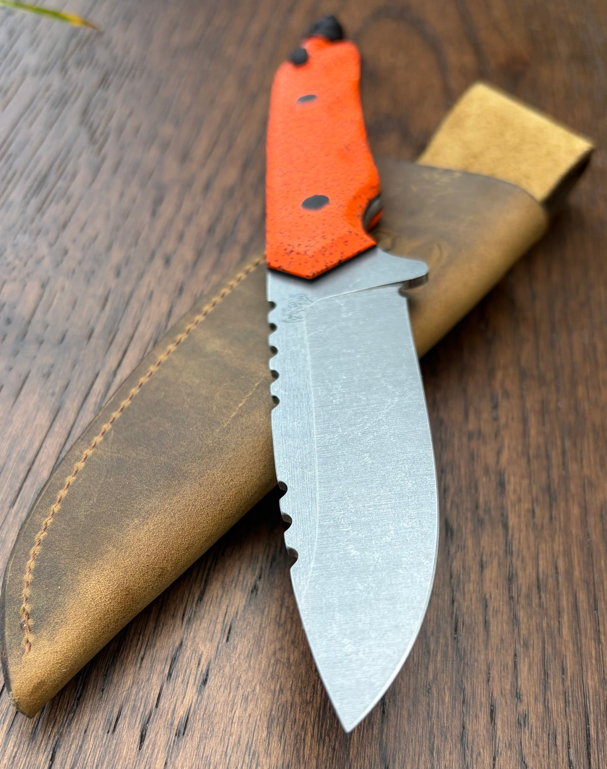 Coyote - Nitro-V